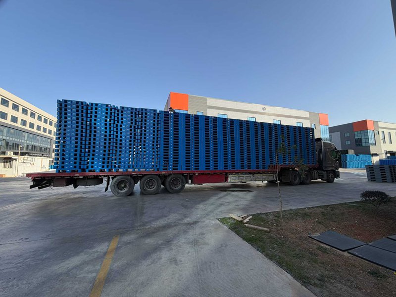 广东塑料托盘大批量发货实录(图1)