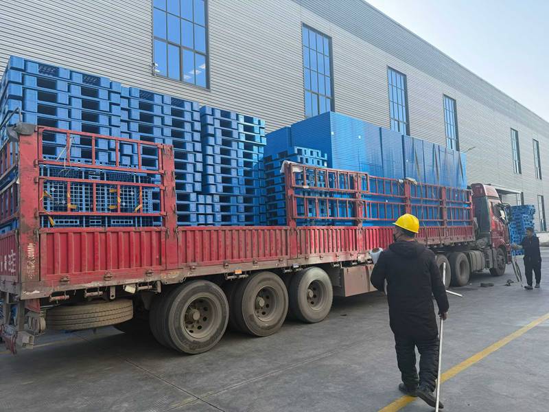 10000片出口免熏蒸托盘装柜发货(图1)