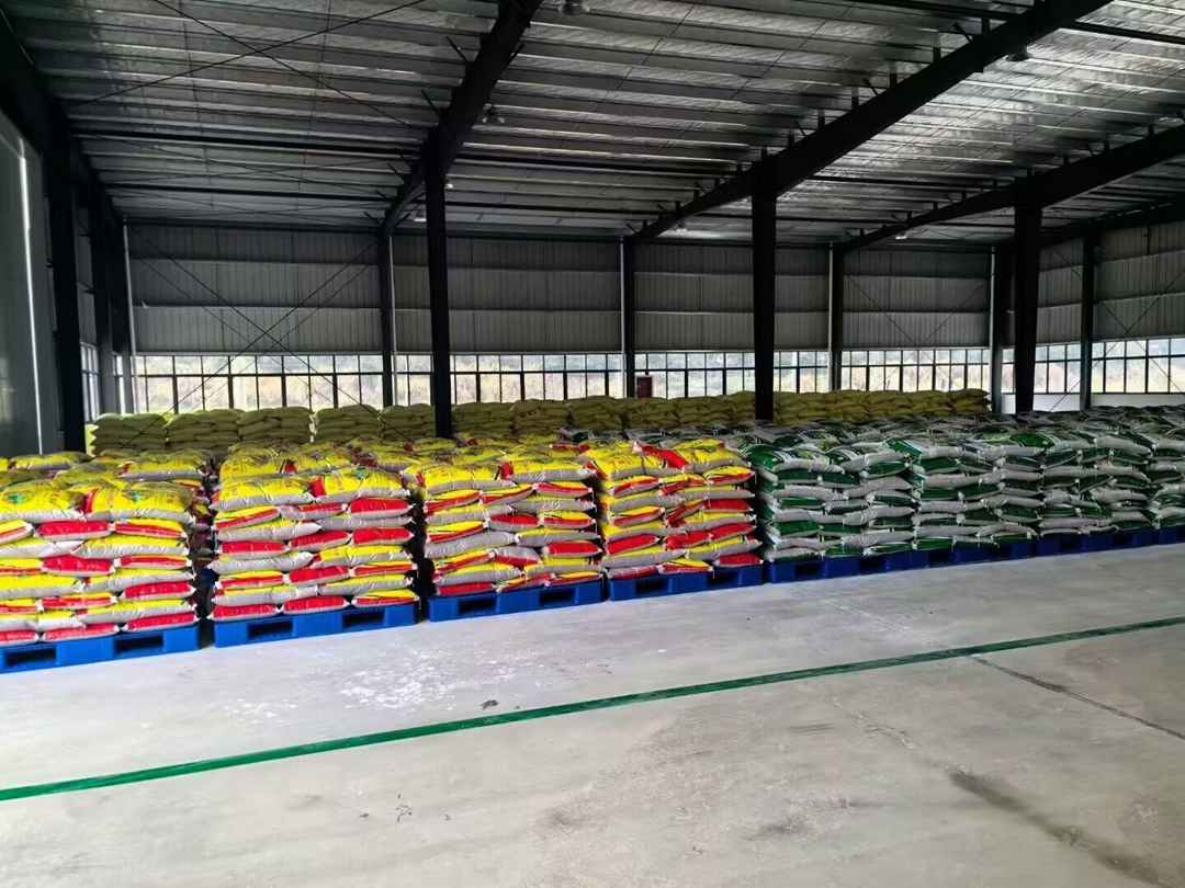 上海仓储物流园塑料栈板应用案例(图1)